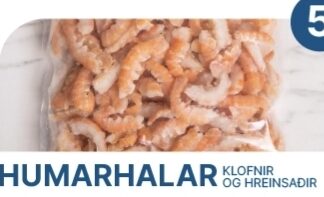 Humarhalar frá Norðanfiski